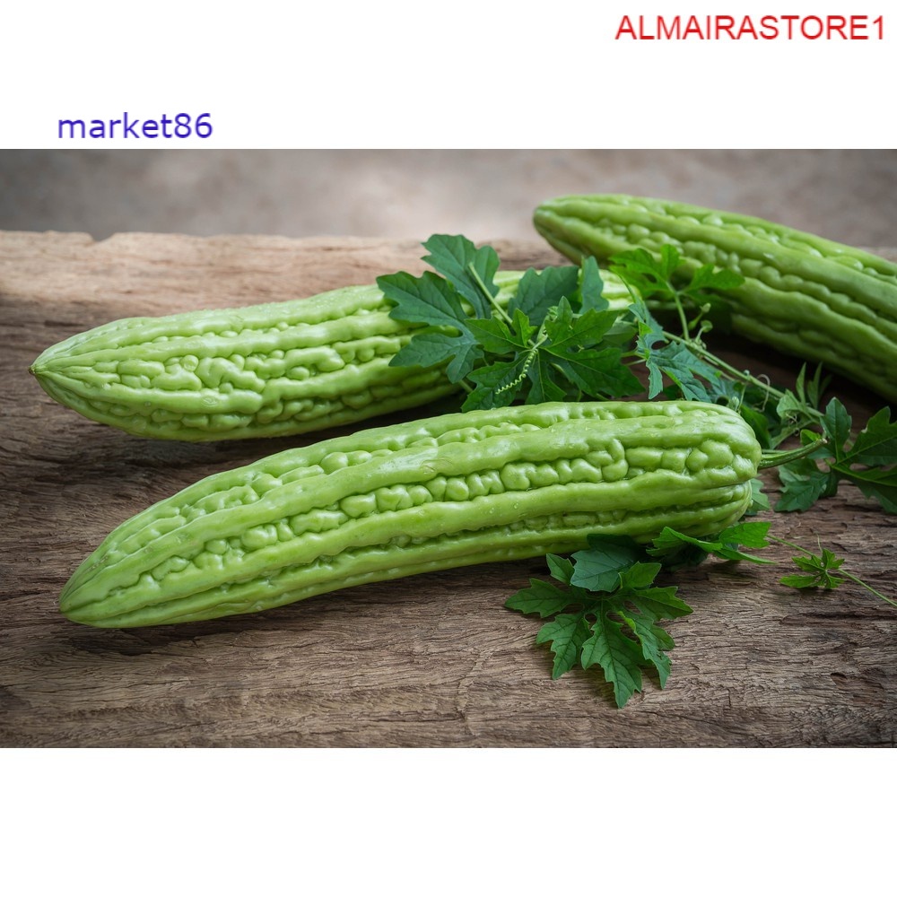 

Grosir Sayuran Segar Sayur FRESH Pare 250 Gram murah - Market86