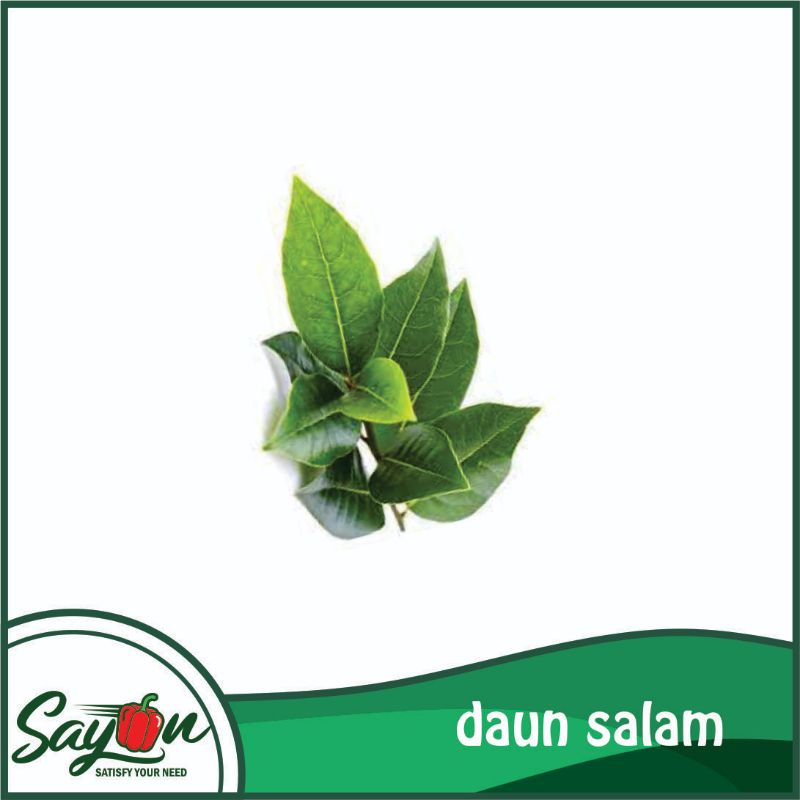 

Daun Salam , Daun Penyedap - Sayon Jogja