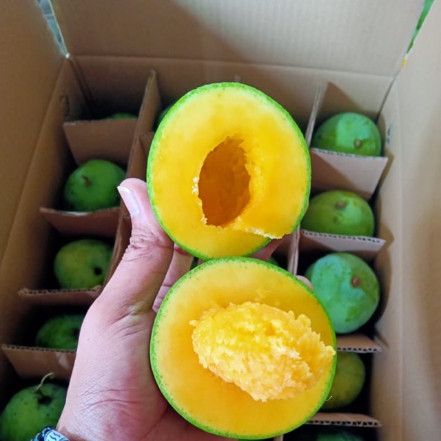 

Mangga Alpukat