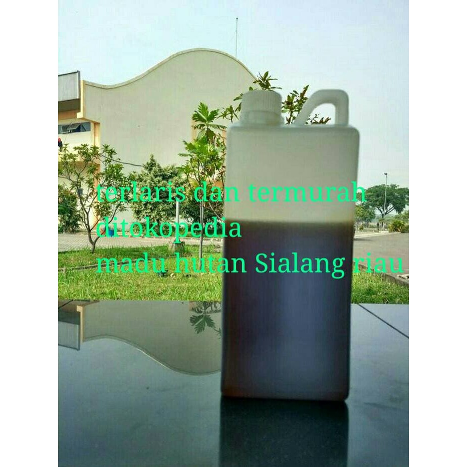 

Madu Hutan Sialang Riau 1kg (Murni) - MMD886