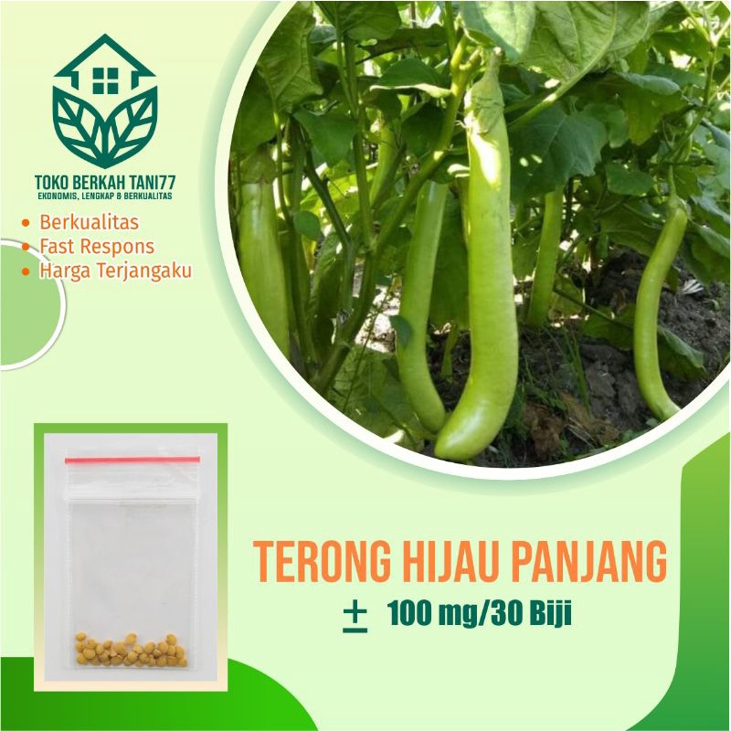 BENIH SAYURAN UNGGUL TERLENGKAP TERJANGKAU BIBIT KUBIS TOMAT SAWI TERONG CABE BUNCIS BAYAM KANGKUNG-Terong hijau panjang