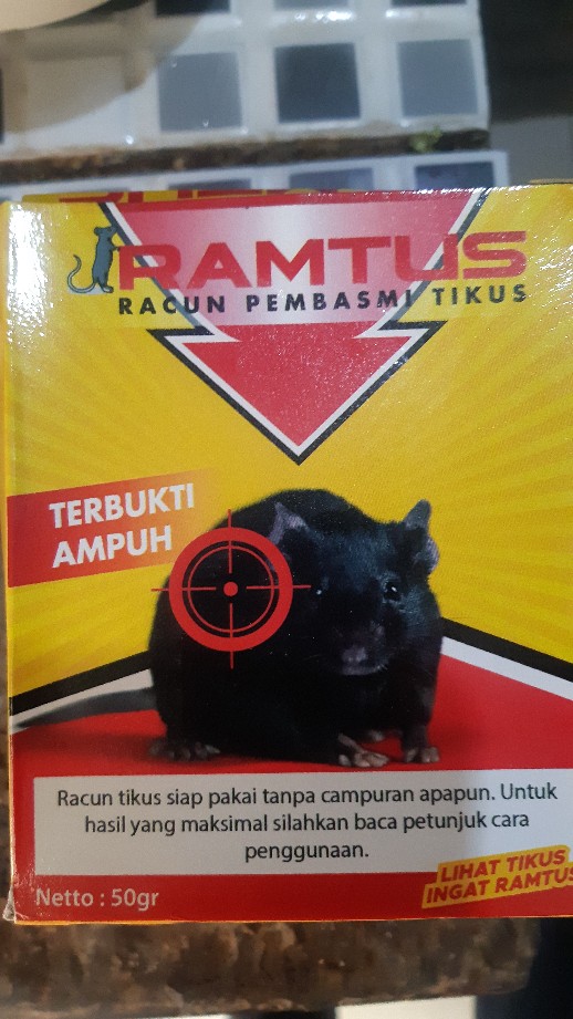 Racun Pembasmi Dan Pengusir Tikus Mobil Paling Ampuh Cikarang