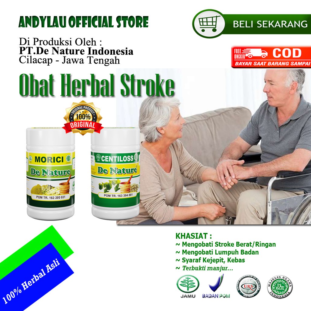 Jual Obat Stroke Berat Struk Ringan Lumpuh Badan Kesemutan Syaraf