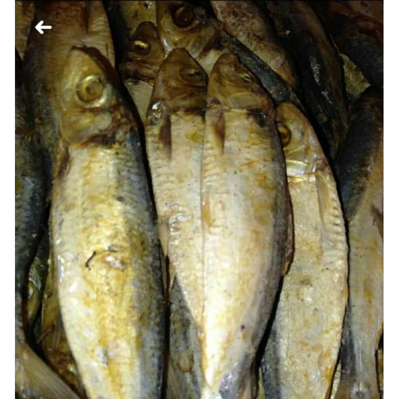

ikan asin japuh besar. 500grm 25ribu