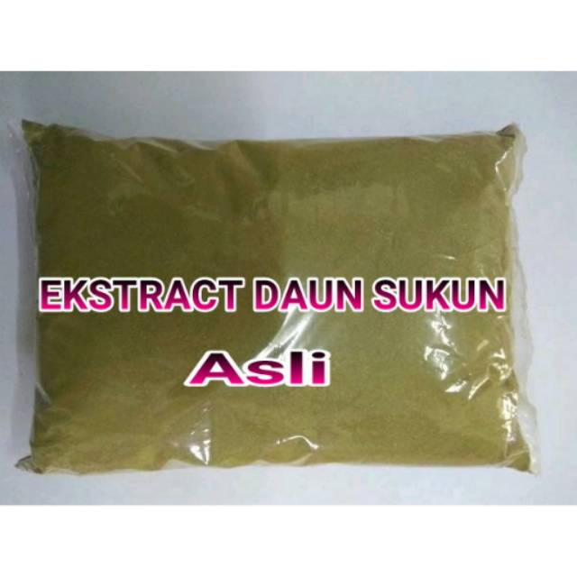 

DAUN SUKUN ASLI