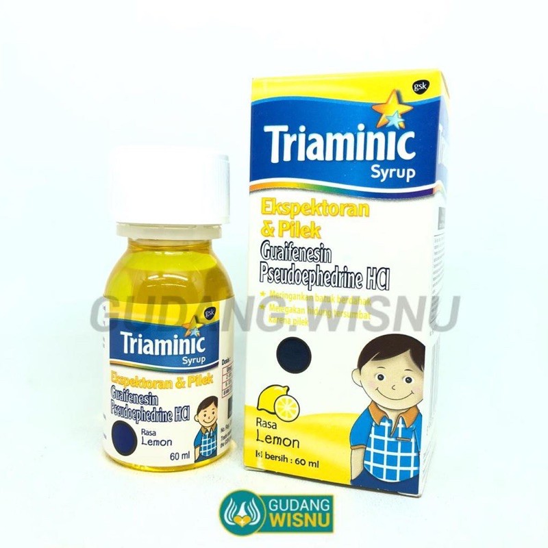 TRIAMINIC EKSPEKTORAN DAN PILEK OBAT BATUK BERDAHAK DAN PILEK