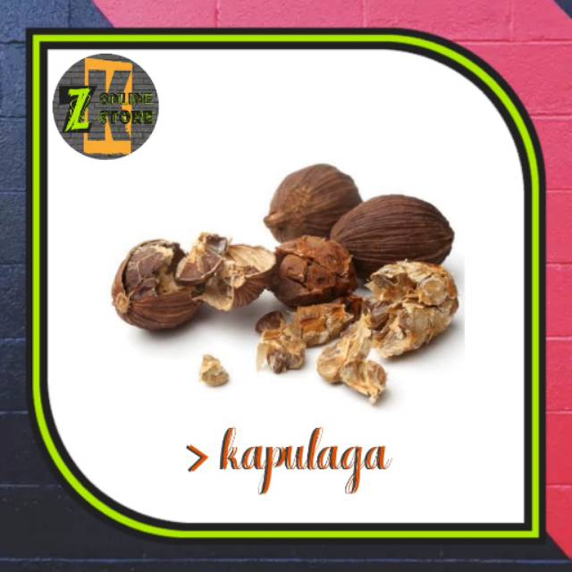 

Kapulaga (5gr)