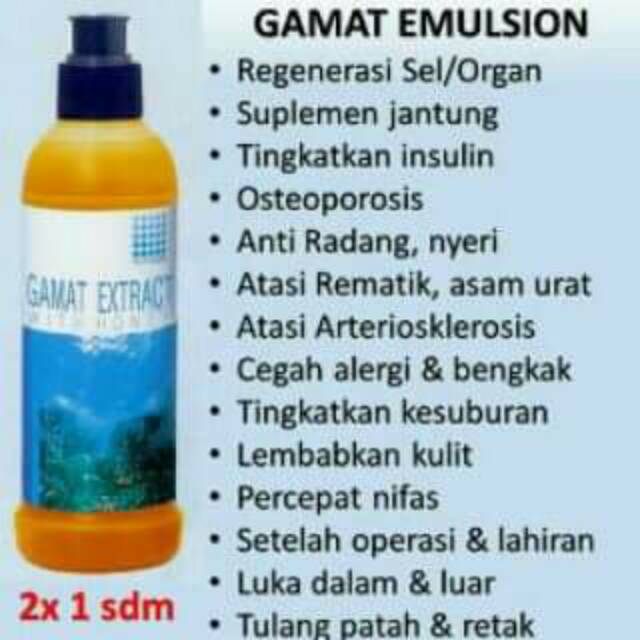 Gamat emulsion