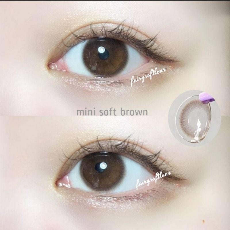 Softlens Kitty Mini Soft Brown / Mini Soff / Kontak Lensa