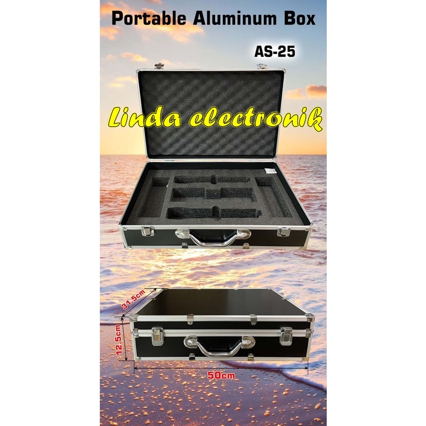 hardcase mic alumenium receiver panjang 2 mic P=31.5cm L=50cm T=12.5cm