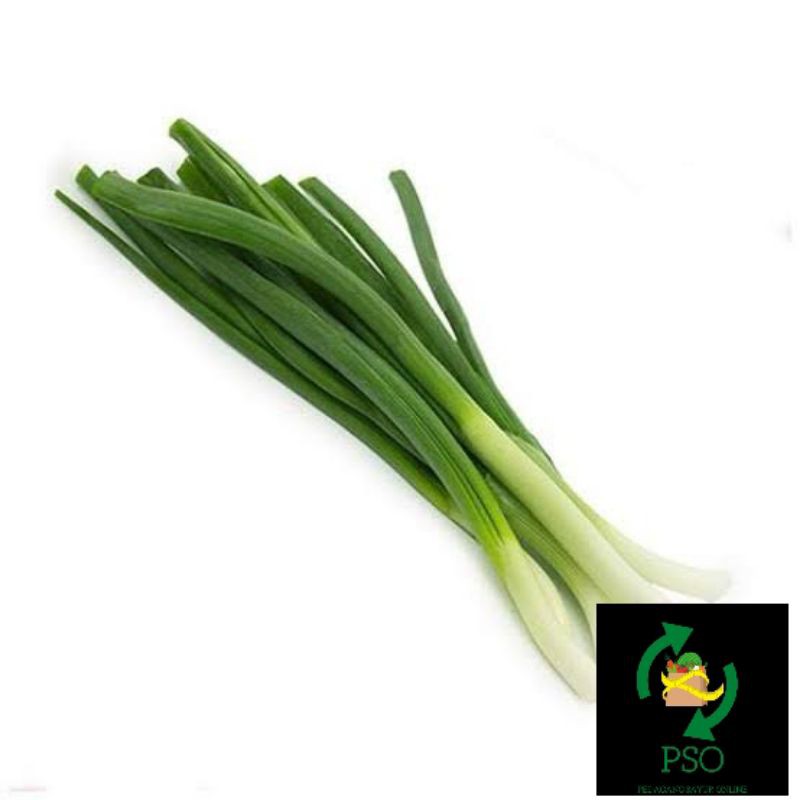 

DAUN BAWANG/IKAT(250gr)