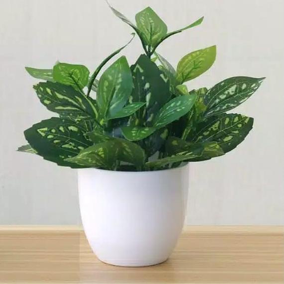 ➸ Kunataruma Bunga Artificial Besar Pot Tanaman Plastik Hias Daun Rambat Monstera Tawon Kering Murah