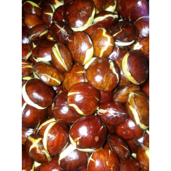 

jengkol tua sudah di kupas/fress /jengkol super 500 gram