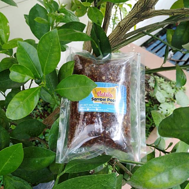 

Sambel Pecel/Sambel Kemasan/Sambel Pecel Nabila/ Sambel Pecel Enak
