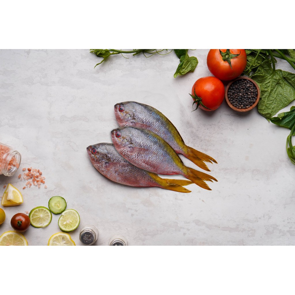 

IKAN EKOR KUNING | YELLOWTAIL | FRESH