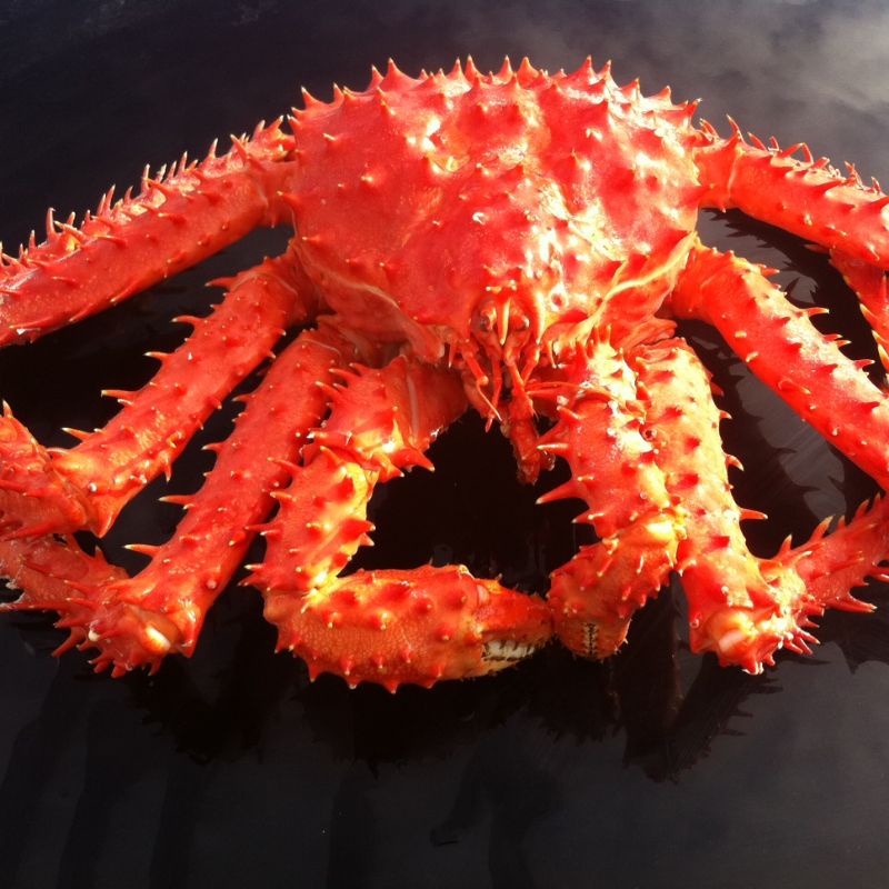 

Alaskan King Crab