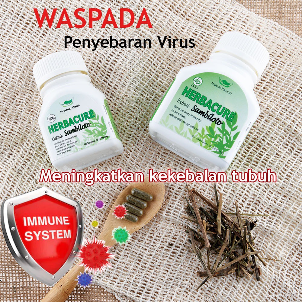 

Herbal utk Mencegah Penularan Virus, meningkatkan daya tahan tubuh, pilek & flu SAMBILOTO (40kapsul)