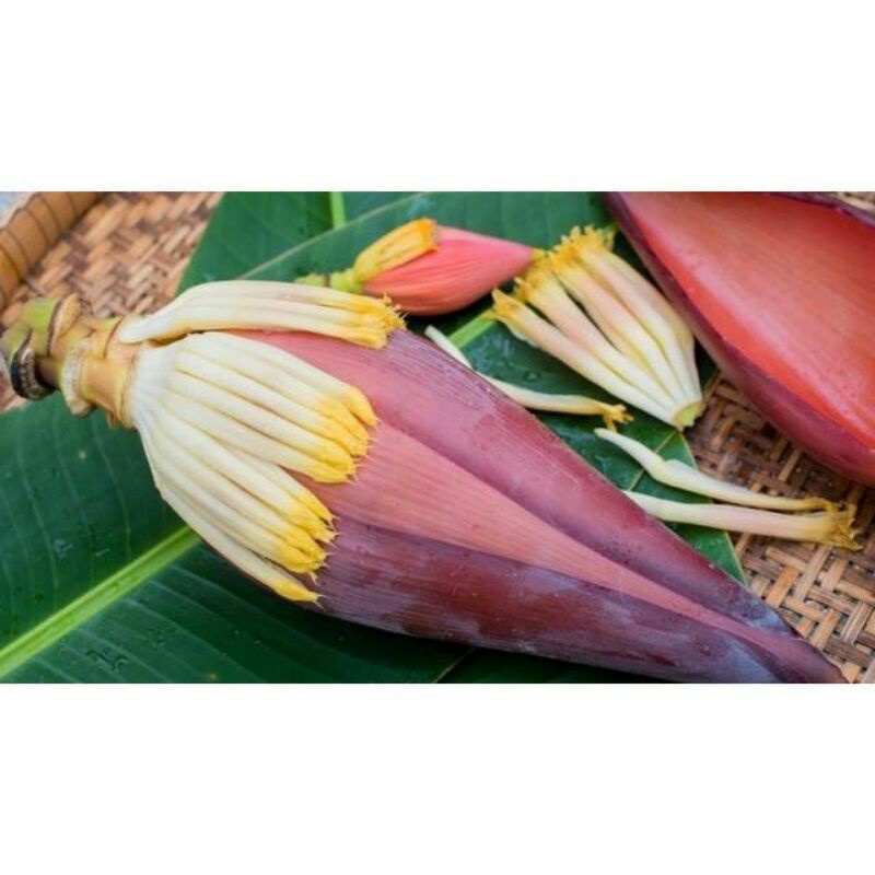 

Jantung Pisang Sayur
