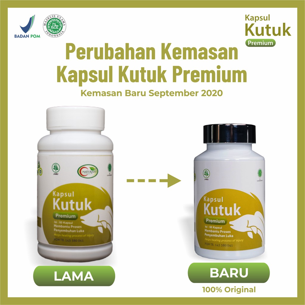 Obat Luka Langsung Kering || Paket 3 Botol Kapsul Kutuk Premium 5x Cepat Sembuh - Albumin Ikan Gabus