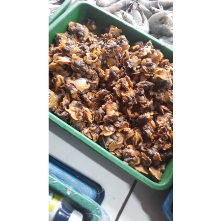 

kerang dara fres 500grm