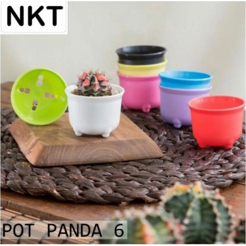 pot bunga | pot panda 6 cm | pot bening | pot NKT