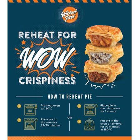 

Promo 7.7 Wicked Pies Frozen Pies package of 4 Pies
