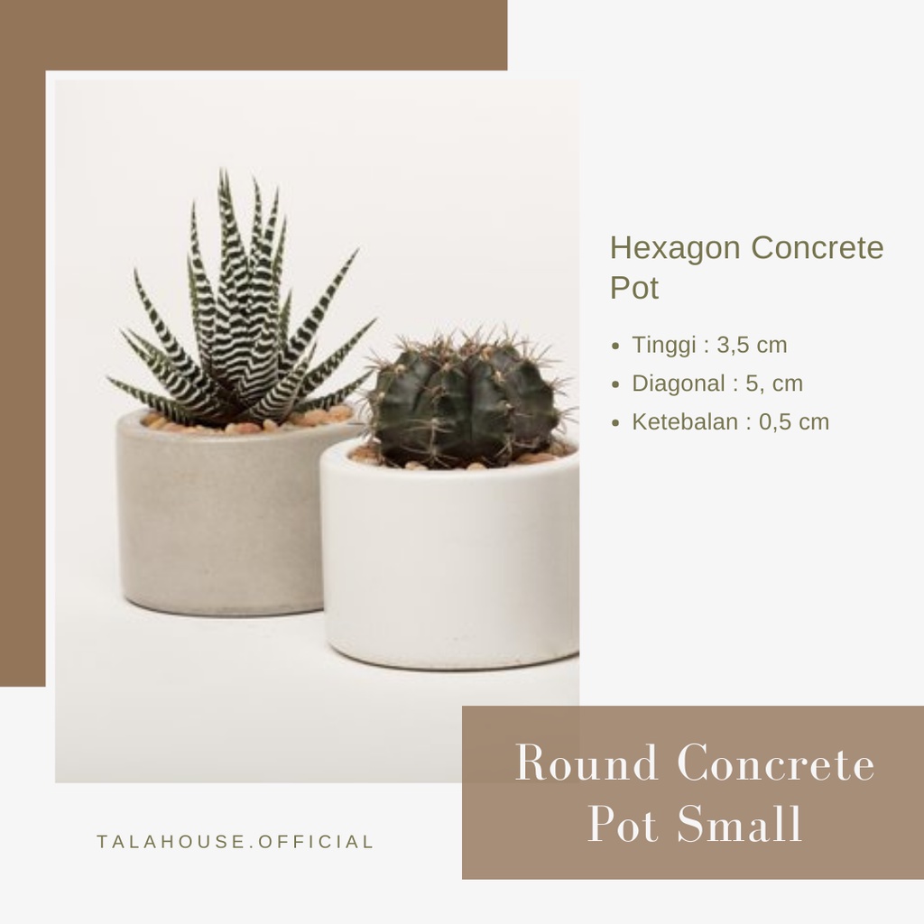 POT MINI BULAT | pot bulat | pot kecil