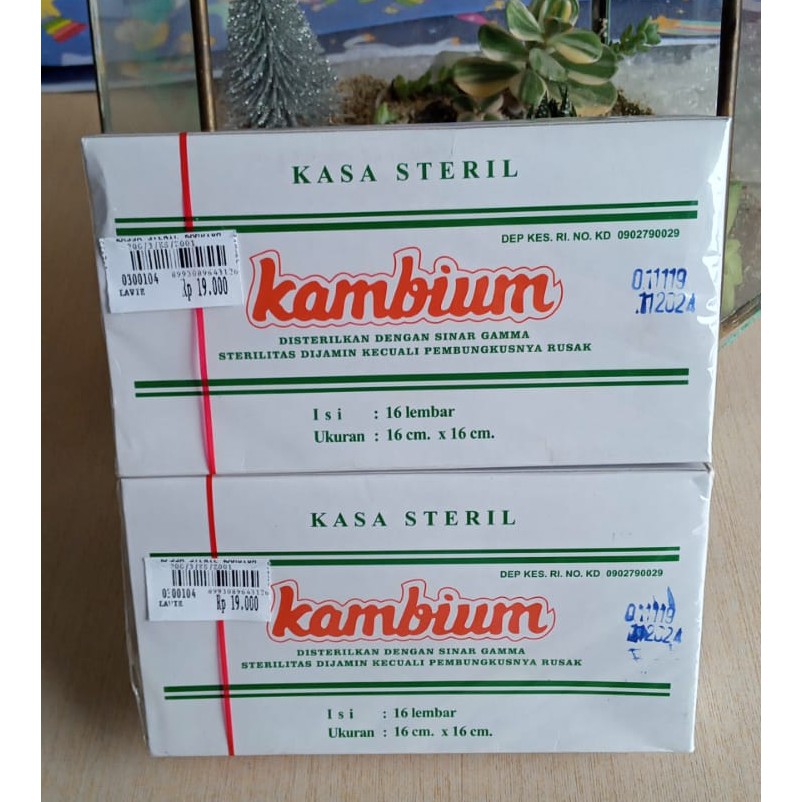 Kasa Steril Kambium 16cm x 16cm