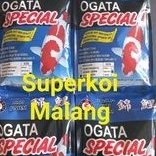 Ogata Silk Power Pakan 3KG Koi Ikan 3 KG Growth Grow Floating Sinking Silkpower