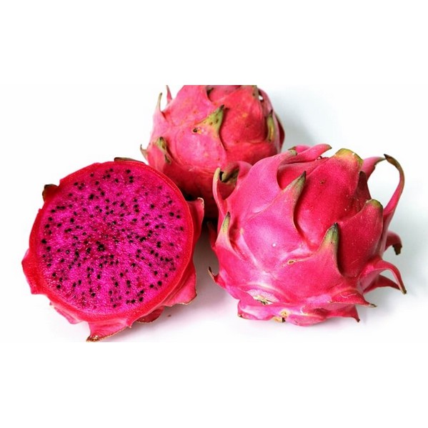 BUAH NAGA MERAH LOKAL GRADE SUPER Shopee Indonesia BUAH NAGA MERAH LOKAL GRADE SUPER Shopee Indonesia