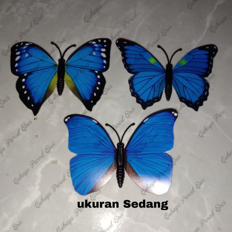 Kupu-kupu 3D ukuran Sedang 1pcs