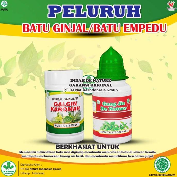 Obat Penyakit Ginjal Pembersih Ginjal Kotor Penghancur Batu Ginjal