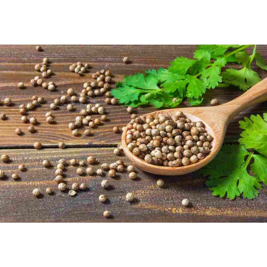 

Ketumbar Hitam / Ketumbar / ketumbar organik / Ketumbar asli / bumbu masak / ORGANIK BIJI BUKAN BUBUK ISI 150GR MURNI TANPA PEMUTIH PENGAWET BY MR HERBS UTK JSR
