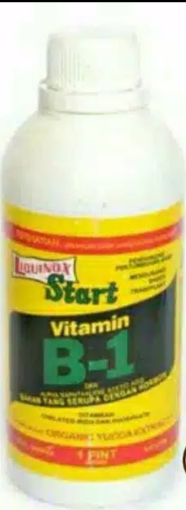Pupuk Hormon Tanaman Hias Vitamin B1 470ml