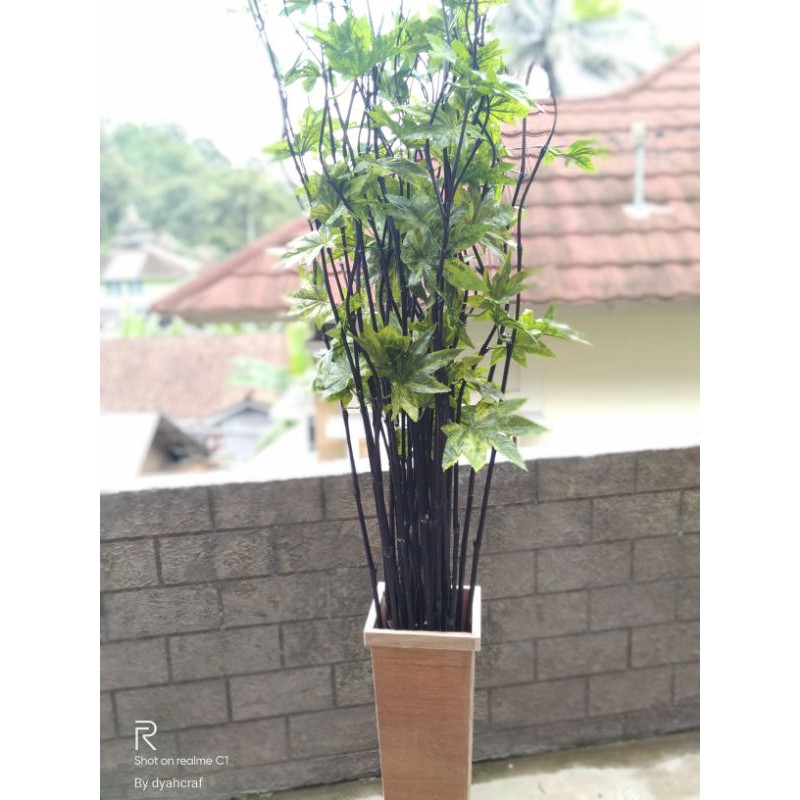 daun maple hijau & bambu ulir