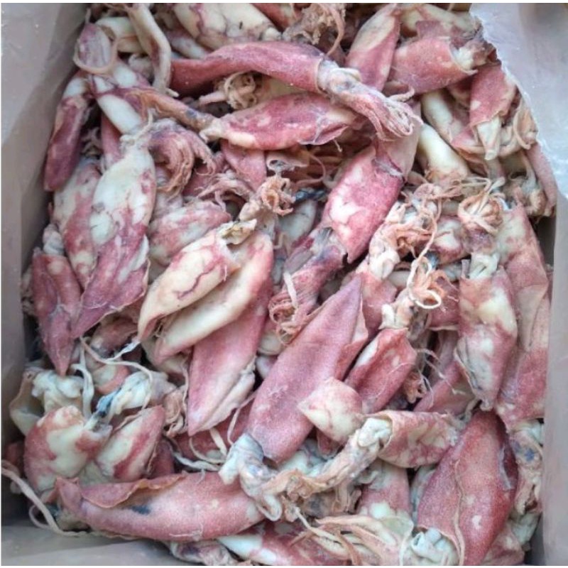 

ikan cumi asin kering 20kg best seler