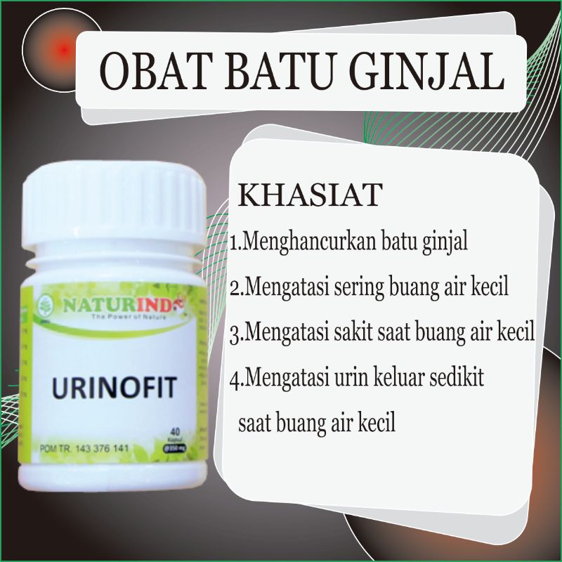 Obat batu ginjal dan pinggang yg ampuh pelancar saluran kemih cina herbal peluruh batu ginjal anyang