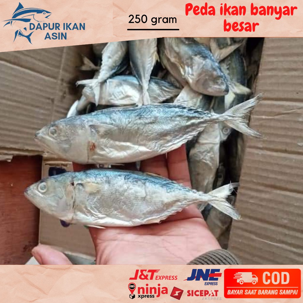 

Ikan Asin Peda Banyar Besar super isi 250 gr