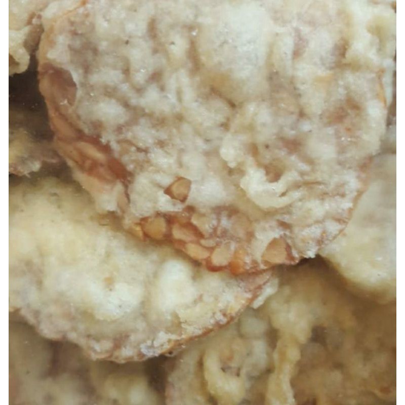

Tempe cikal 250gram