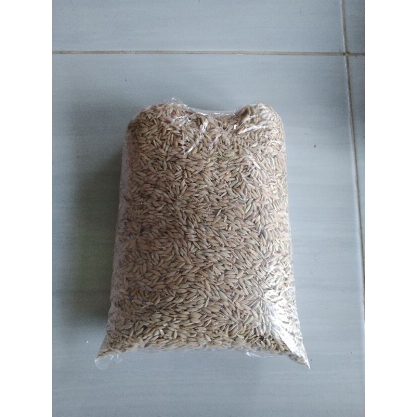 

padi ketan hitam asli hitam per 1 kg