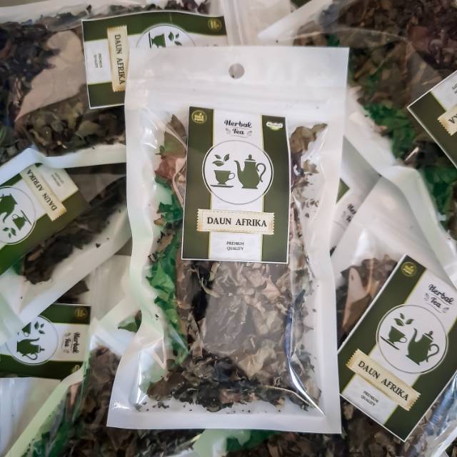

Teh Daun Afrika / Teh Herbal Alami Premium