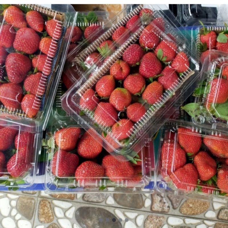 

Strawberry Grade B 1kg Fresh Buah Premium ( Eceran & Grosir )