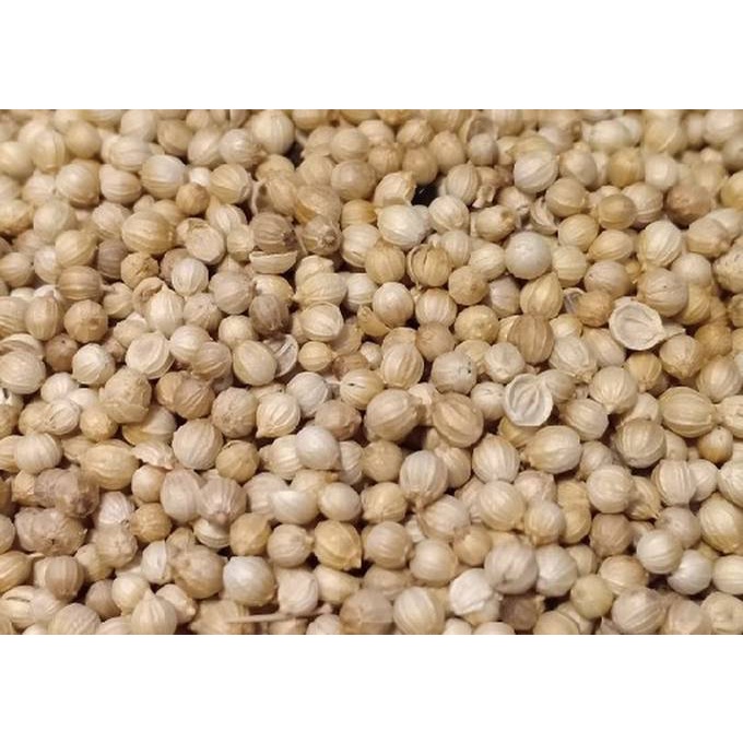 

Rempah Biji Ketumbar 100gr