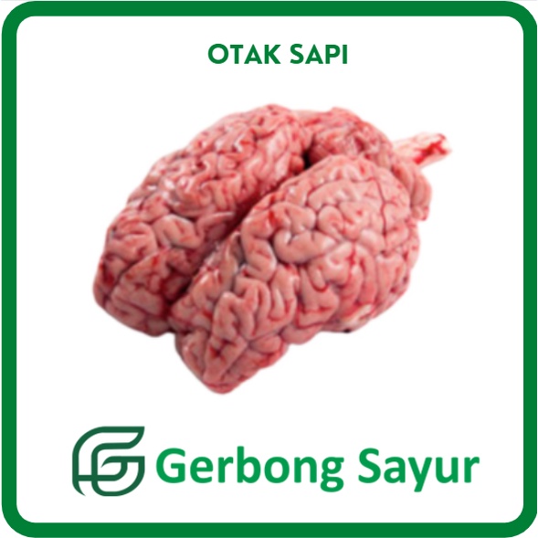 

Otak Sapi Segar - 1 Pcs