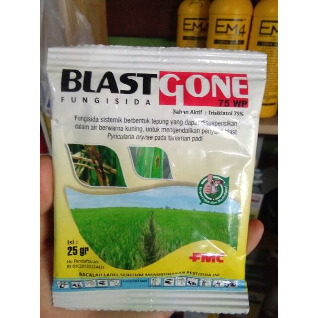 Blast Gone Fungisida 75WP