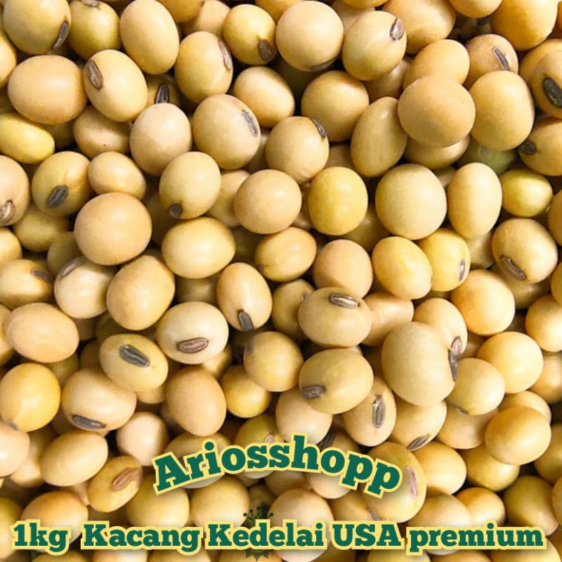 

Kacang Kedelai Import USA Best Quality 1 kg