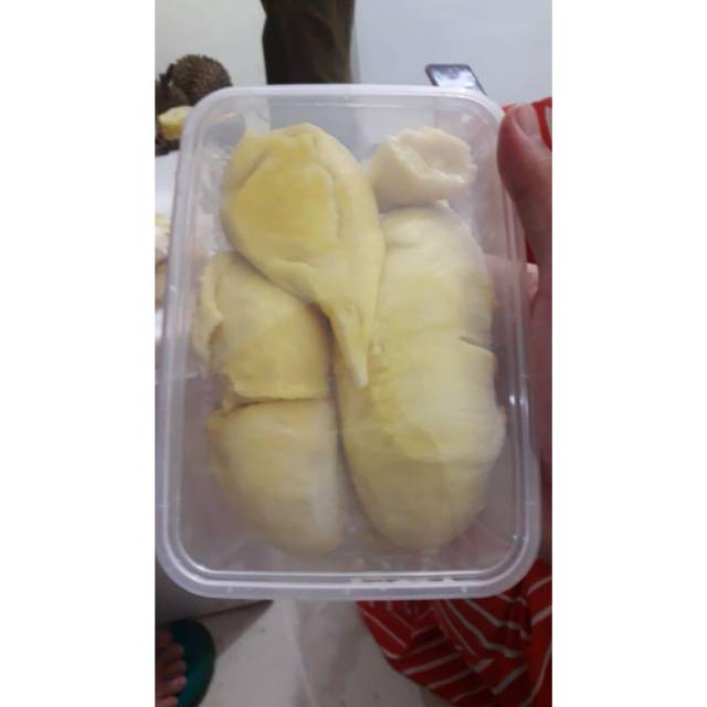 

Durian Montong Sulawesi