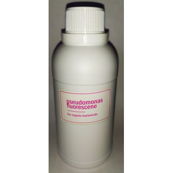Pseudomonas Fluorescens