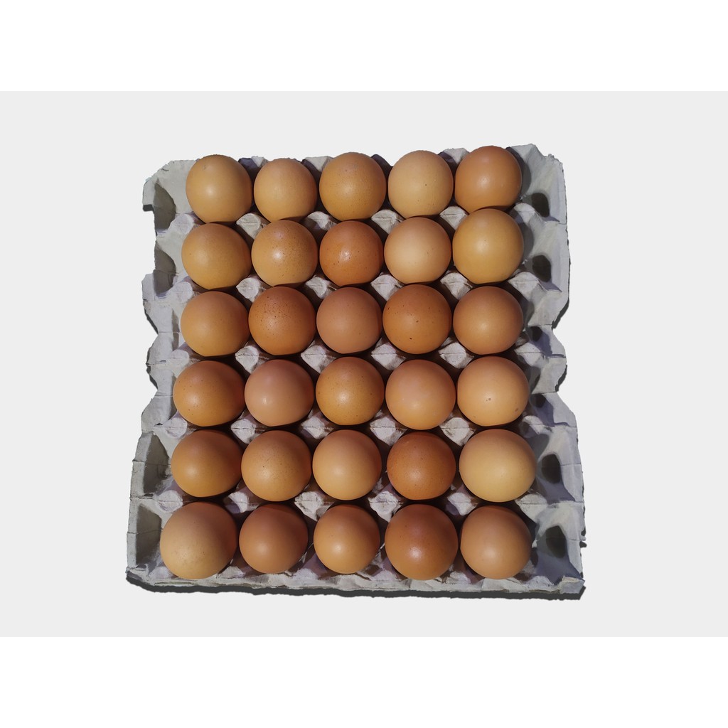 

IO Telur Ayam Negeri 30 Butir