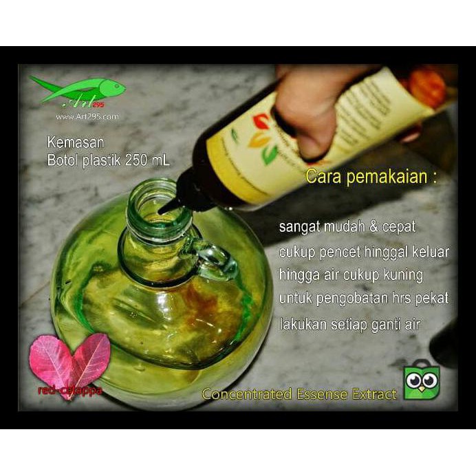 

EKSTRAK DAUN KETAPANG MERAH 250ML INDIAN ALMOND PREMIUM QUALITY BERKUALITAS